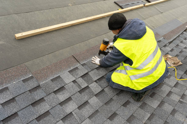 Best Roof Gutter Cleaning  in Suffolk, VA