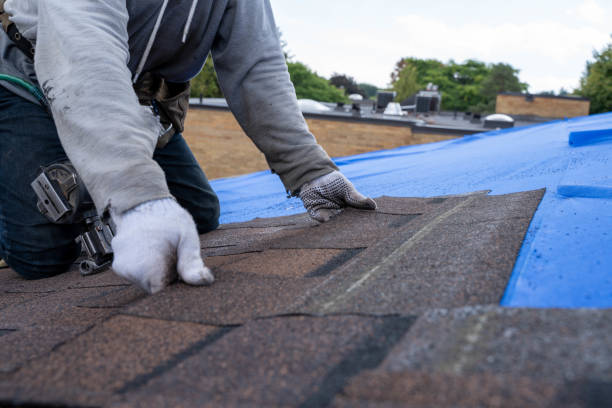 Best Roof Leak Repair  in Suffolk, VA